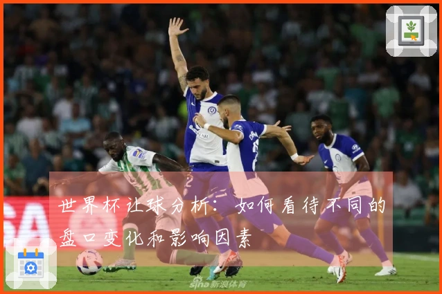 世界杯让球分析：如何看待不同的盘口变化和影响因素