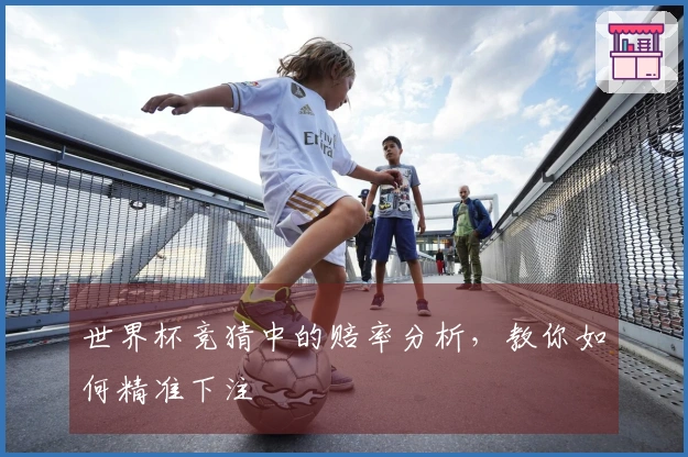 世界杯竞猜中的赔率分析，教你如何精准下注