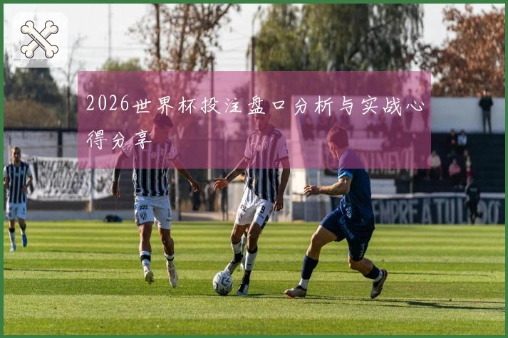 2026世界杯投注盘口分析与实战心得分享