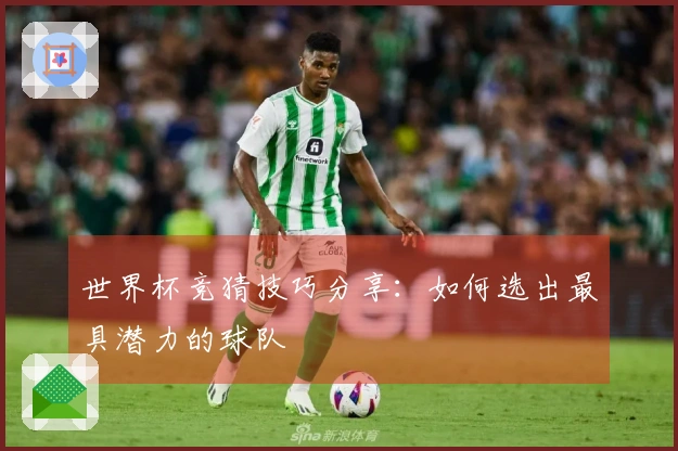 世界杯竞猜技巧分享：如何选出最具潜力的球队