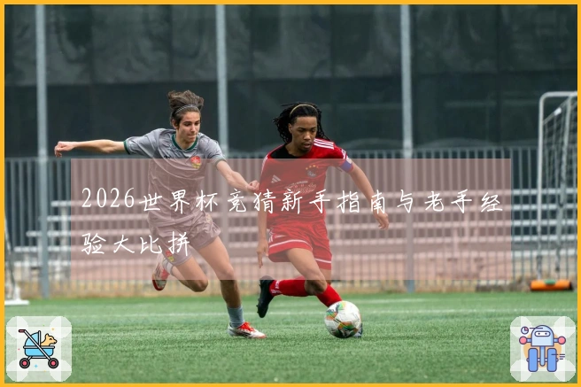 2026世界杯竞猜新手指南与老手经验大比拼