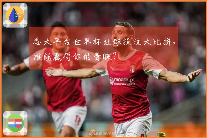 各大平台世界杯让球投注大比拼，谁能赢得你的青睐？